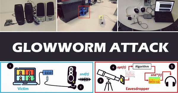 Glowworm.jpg