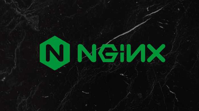 NGINX 1.png