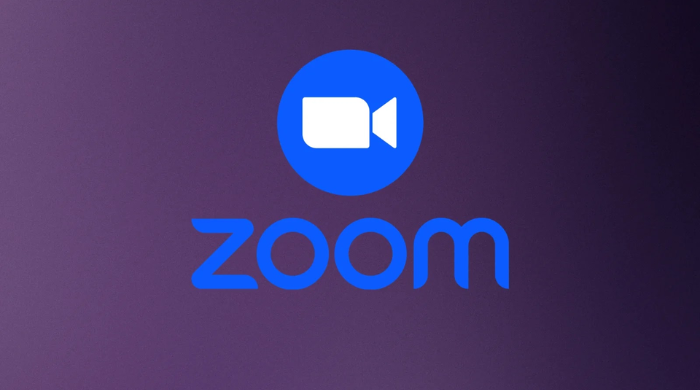 zoom 1.png
