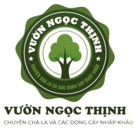 vuonngocthinh