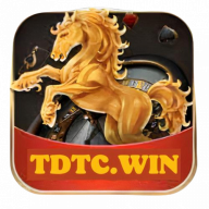 tdtcwin