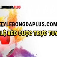 tylebdplus