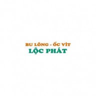bulonglocphat