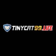 tinycat99life