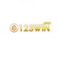123wintech