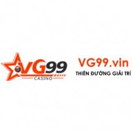 vg99vin