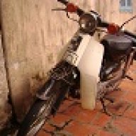 bina4404