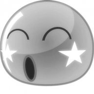 TNshield