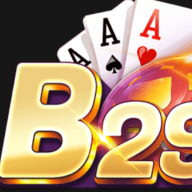 b29