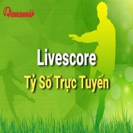 tysobdtructuyen
