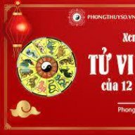 tuvi2023phongthuyso