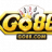 cauhoigo88