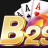 b29